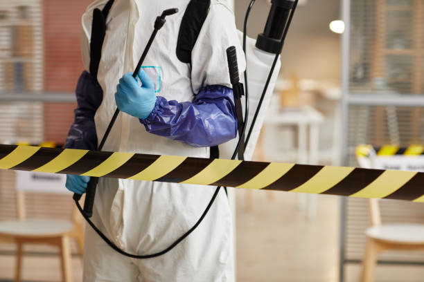 Professional Sewage Cleanup technician working in Millbrae, CA